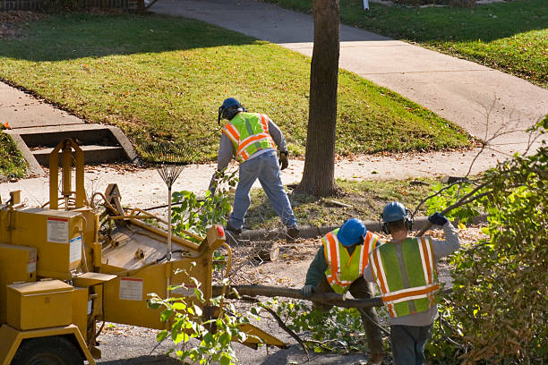  Gateway, AK Tree Removal and Landscaping Services Pros